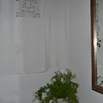 Sa Corte Nova 3* Lula
