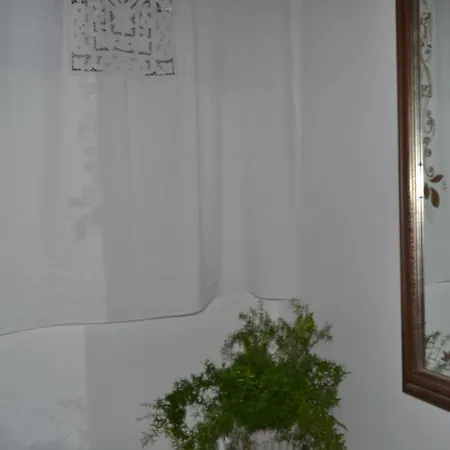 Sa Corte Nova 3* Lula