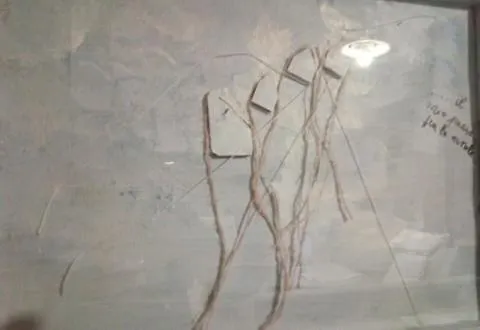 Sa Corte Nova 3* Lula