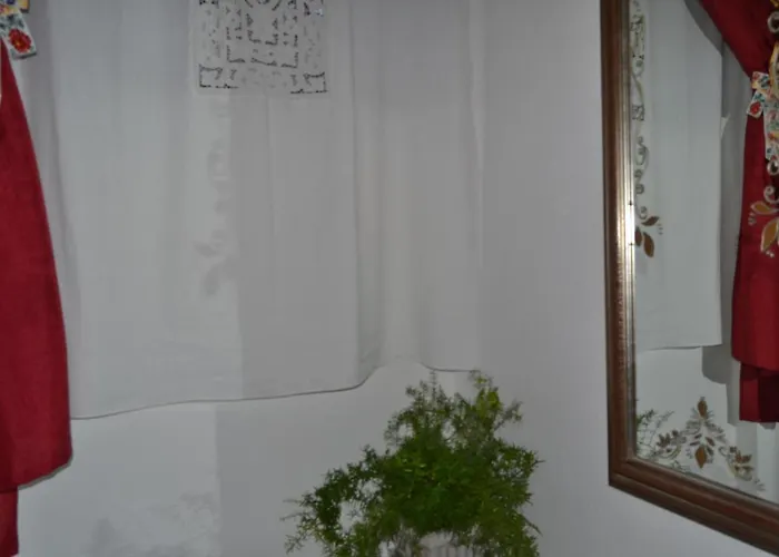 Sa Corte Nova 3* Lula